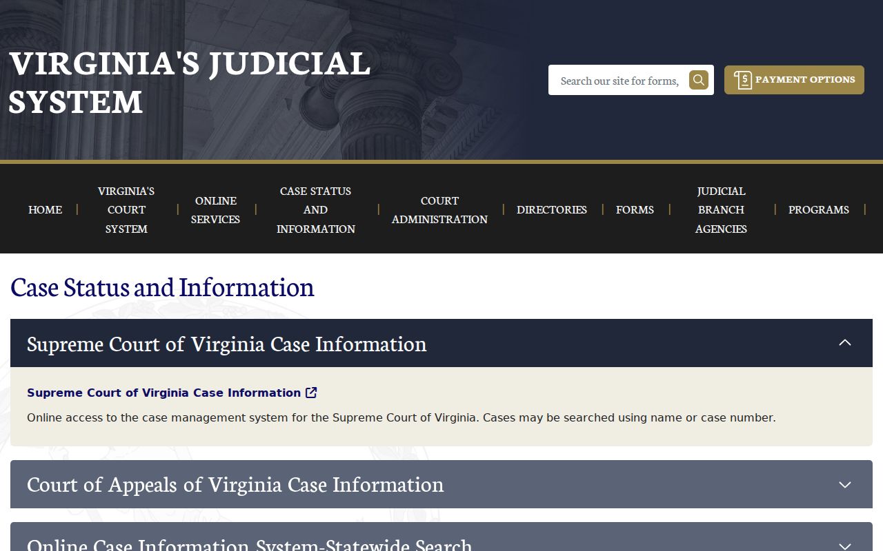 Wise County criminal court case information gateway