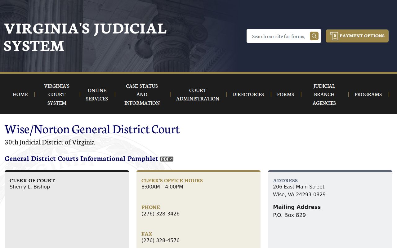 Wise County criminal court cases office and district schedule
